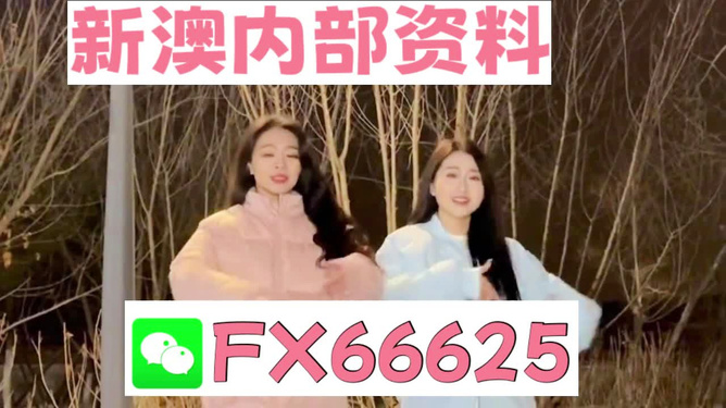 新闻 第154页