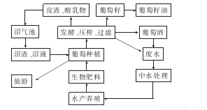 百科 第126页